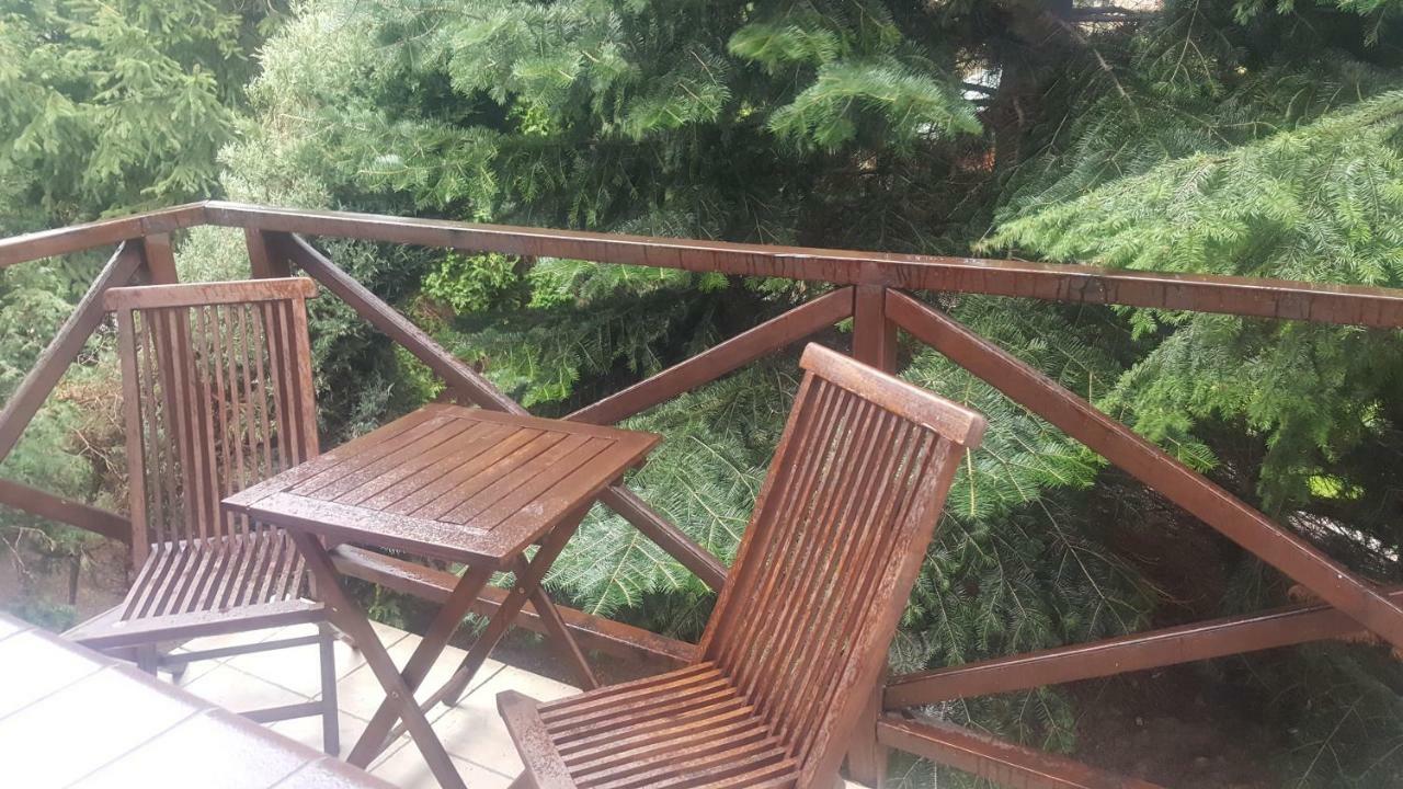 Bukwica Cudowny Zakatek Z Ogrodem I Basenem公寓 外观 照片
